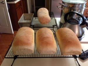 Rustic Italian Bread
